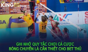 Ghi nhớ quy tắc chơi cá cược bóng chuyền là cần thiết cho bet thủ 